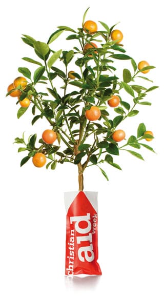 CA_tree