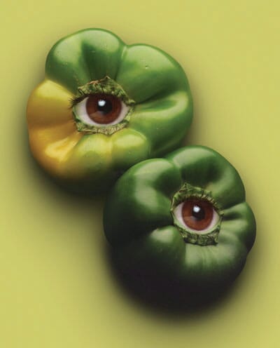 les_gumes