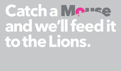 catch_mouse_grey