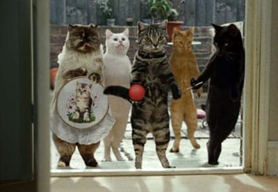cravendale_cats cravendale_cats