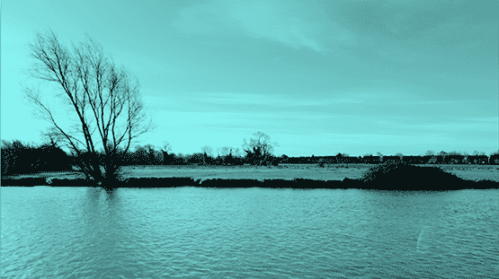 river_grab_555