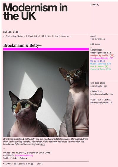 build_blog