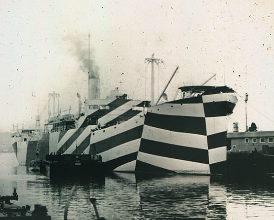 ZebraShips_555